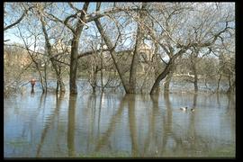 1997 flood - The Forks - view of St. Boniface across river