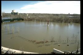 1997 flood - The Forks - view of the confluence