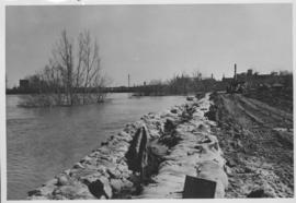 No. 8 A portion of the Lyndale dike in Norwood with the Norwood Bridge in the background