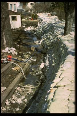 1997 flood - Scotia Street - breached dike