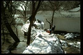 1997 flood - Scotia Street - high water