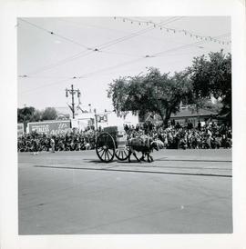 Winnipeg's 75th Anniversary parade - Red River cart
