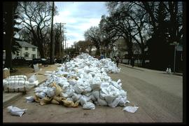1997 flood - Scotia Street - sandbags