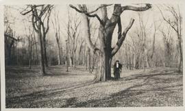 Woman standing beside large tree in Kildonan Park