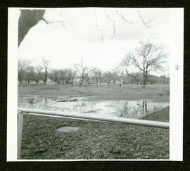 Flooded bowling green