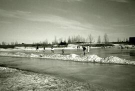 Skating at Harbourview Recreation Complex