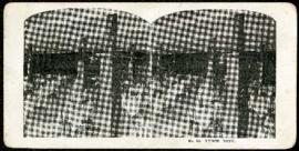 Eaton's promotional stereogram no. 20 - lunch room