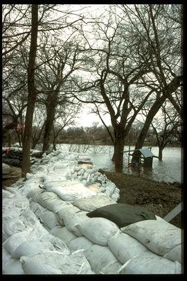 1997 flood - Elm Park Bridge and dike