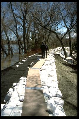 1997 flood - Scotia Street - dike with carpet