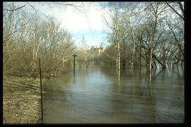 1997 flood - Lombard Avenue (Stephen Juba Park) - water on the walkway
