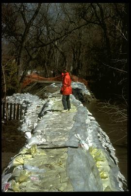 1997 flood - Scotia Street - civic employees inspecting dikes