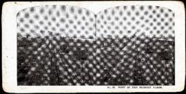 Eaton's promotional stereogram no. 29 - view of the freight yards