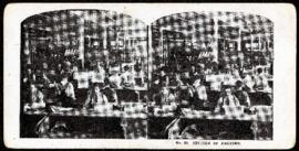Eaton's promotional stereogram no. 26 - section of packing