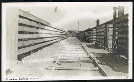 Rail track at Union Stock Yards