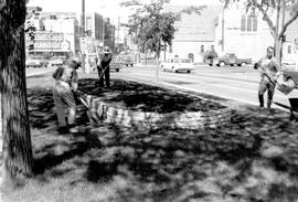 Construction of a flower bed on Broadway boulevard